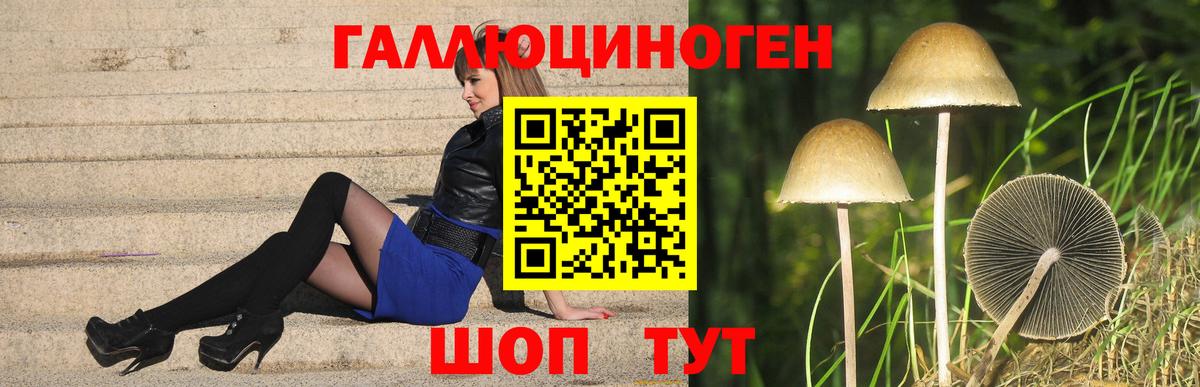 Псилоцибиновые грибы мицелий Старая Русса